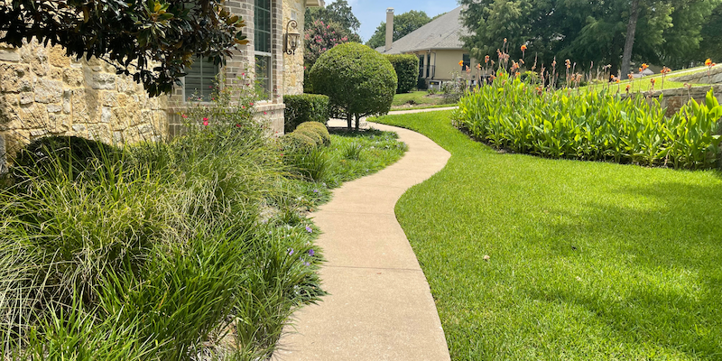 a lawn in dallas