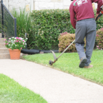 An ABC professional edging a lawn in Dallas