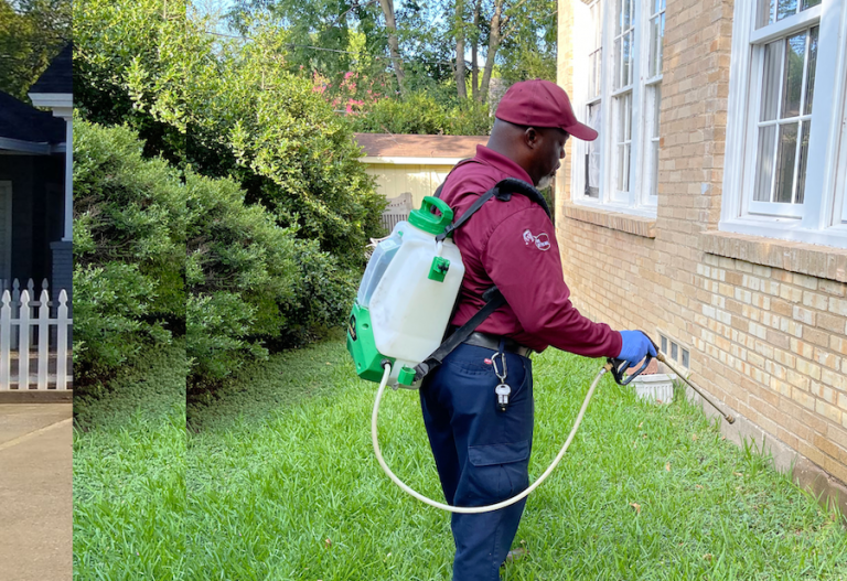 Dallas, TX Pest Control Services | ABC Home & Commercial