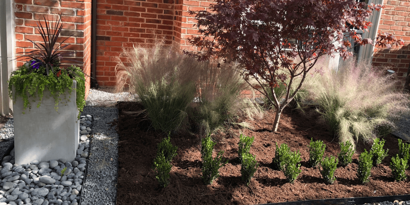 a landscaped front yard