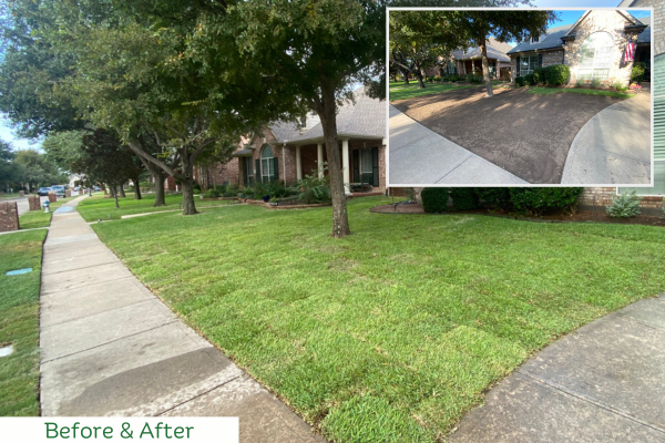 Before and after sod installation - landscaping design