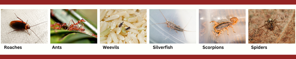 Signature pest service