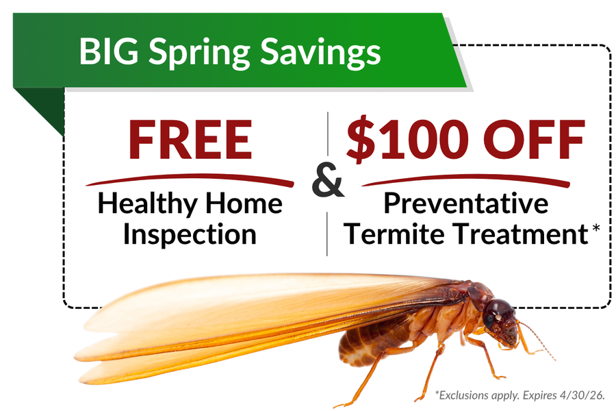 $100 Off Preventative Termite Treatment Offer