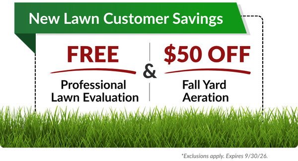 $100 Off Preventative Termite Treatment Offer