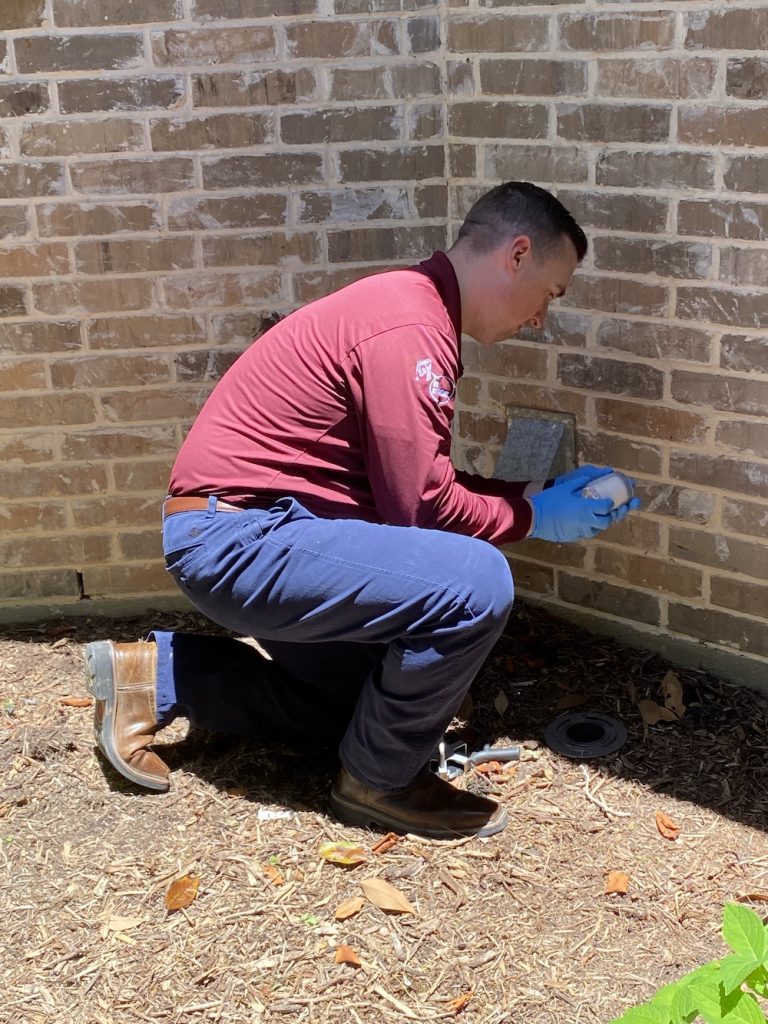 Termite Control in Fort Worth ABC Home & Commercial Services