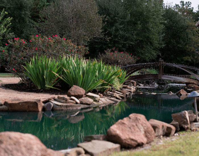 a commercial landscaping project completed by ABC with a man made river, a bridge and native plants