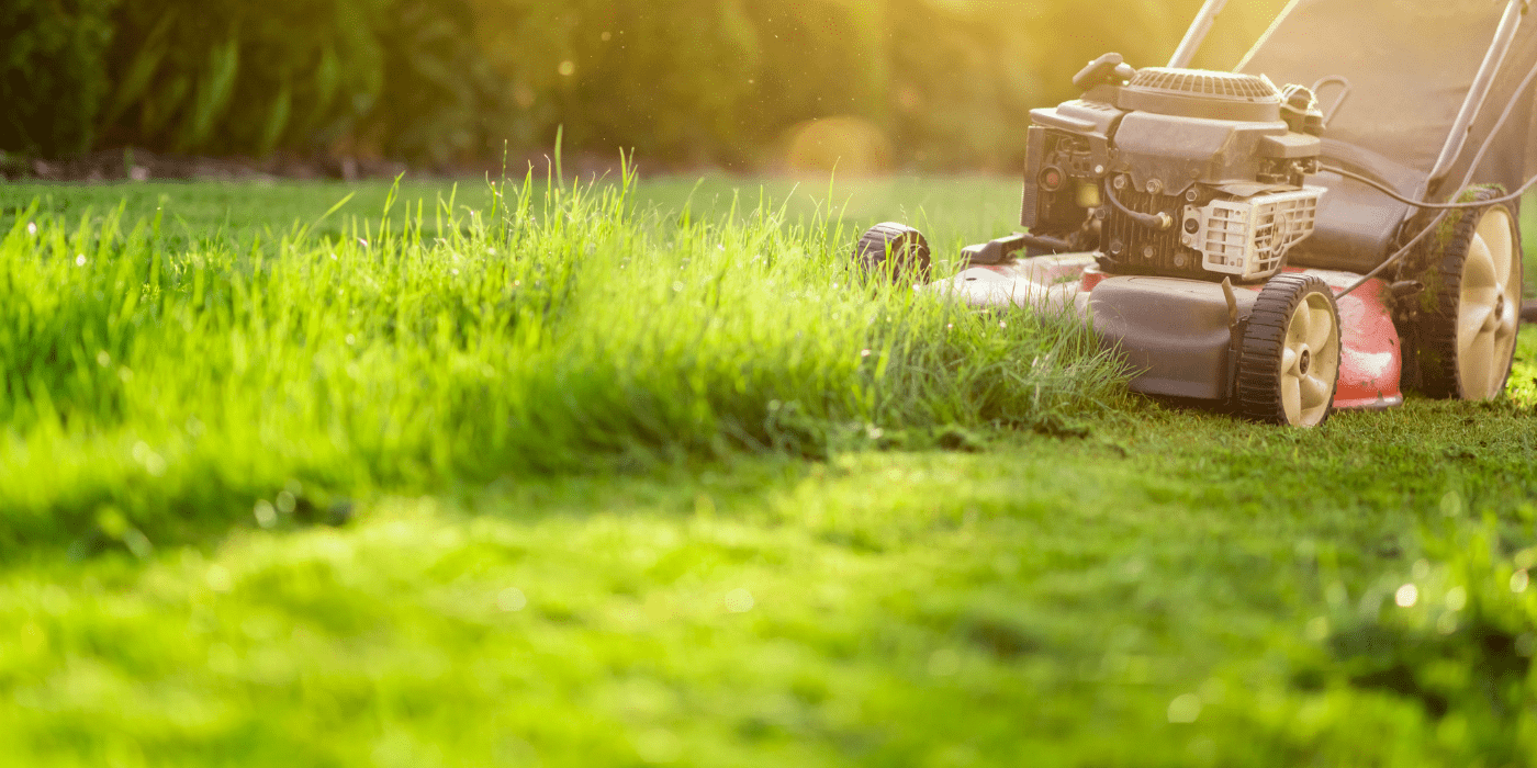 Houston Lawn Mowing: Lawn Maintenance - ABC Home And Commercial Services