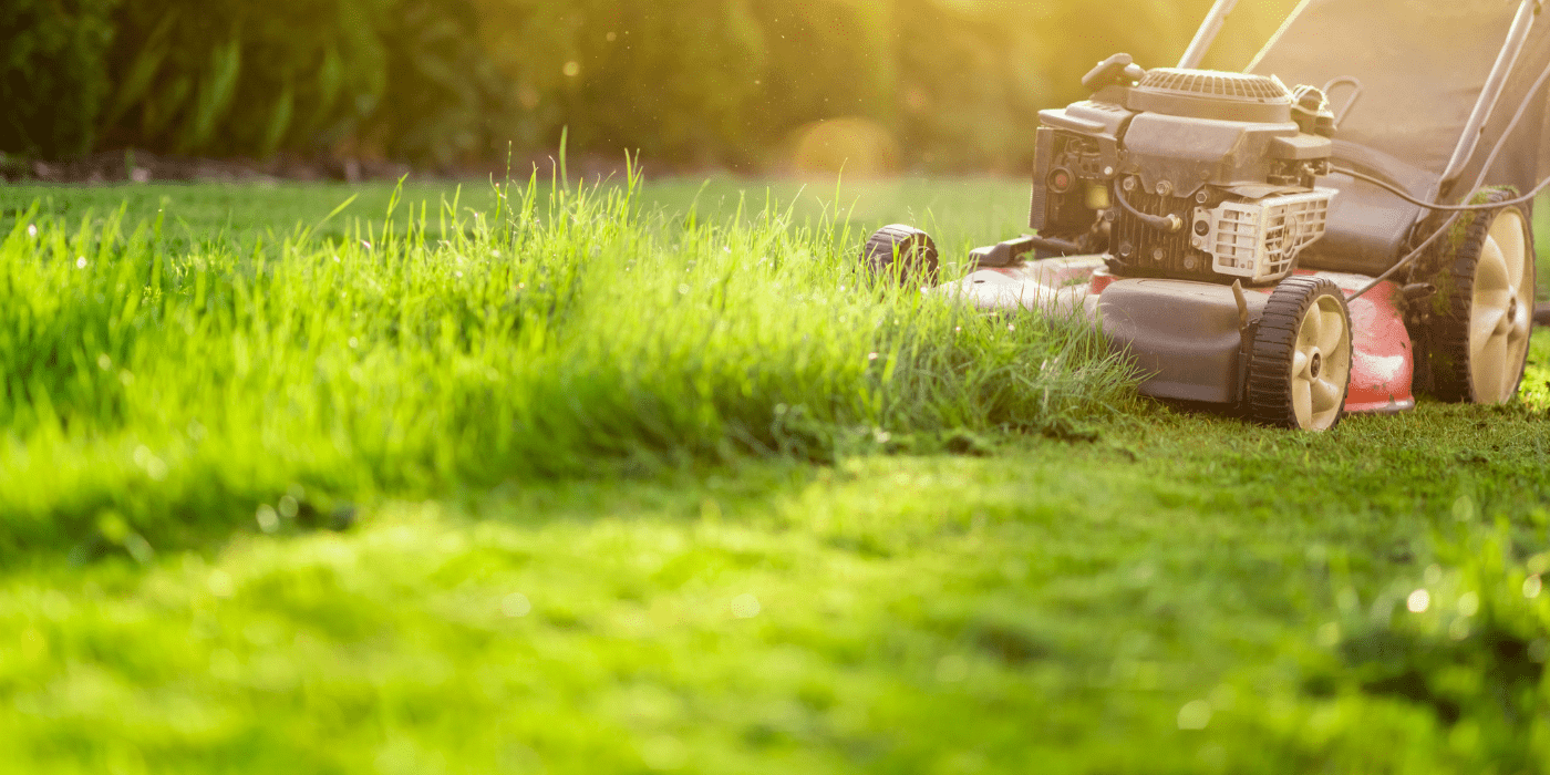 Houston Lawn Mowing: Lawn Maintenance 1 Houston Lawn Mowing: Lawn Maintenance - ABC Home And Commercial Services