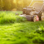 Lawn mower cutting grass