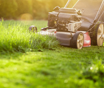 Houston-Lawn-Mowing