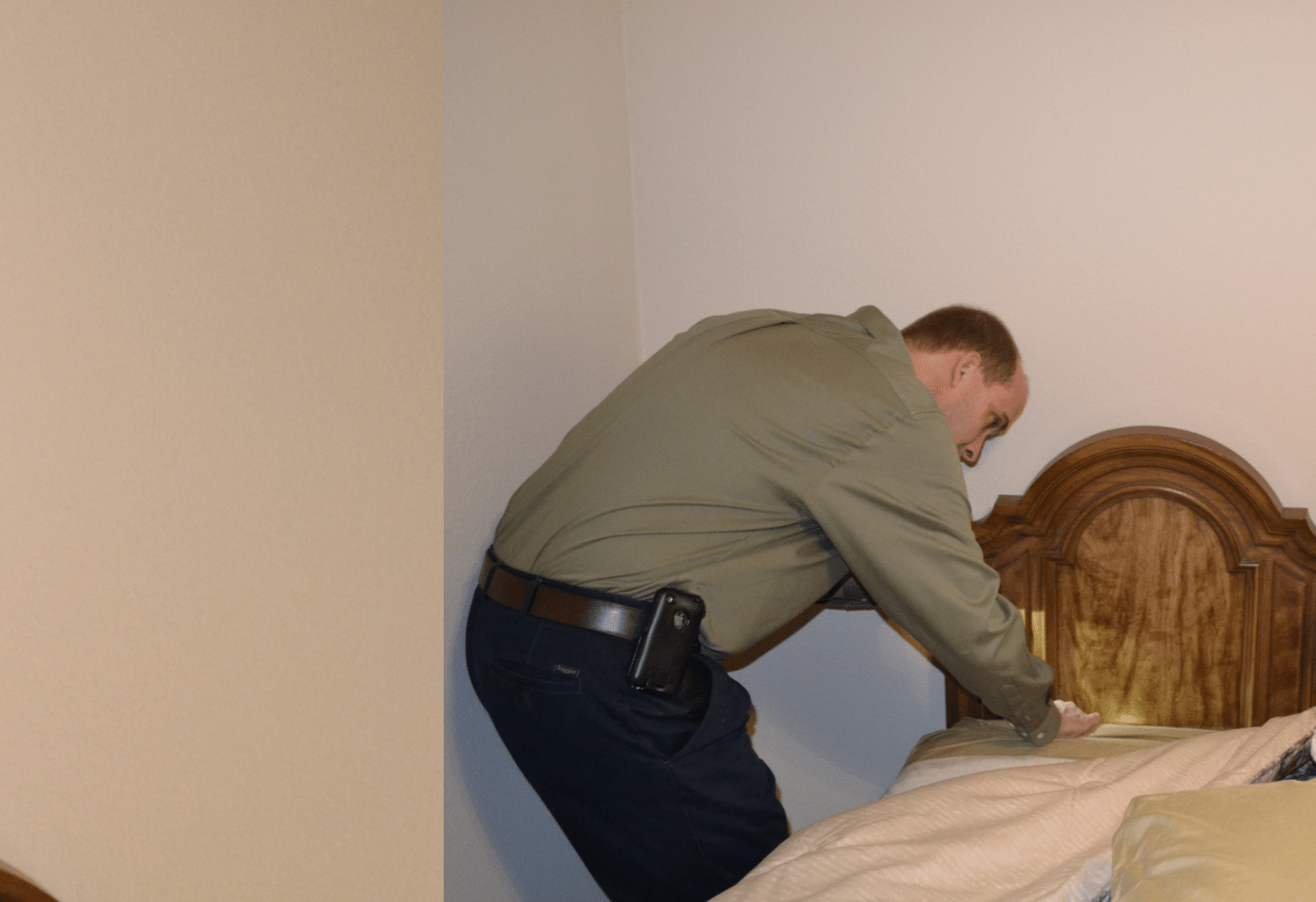 a pest control pro inspecting for bed bugs
