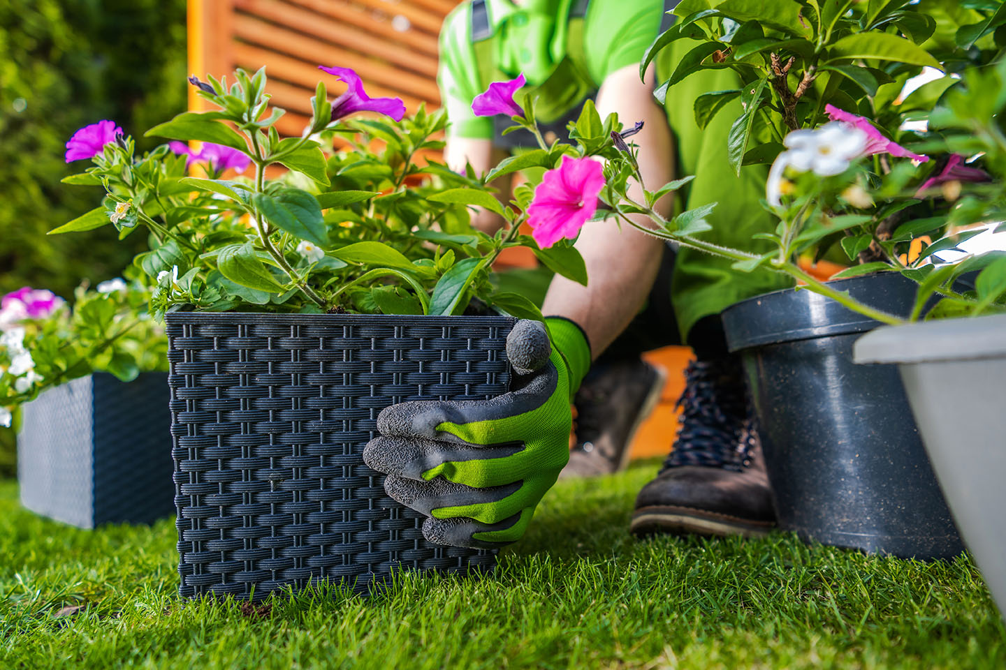 Landscaping company- ABC Home and Commercial Services