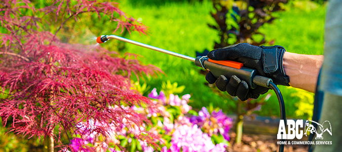 The Importance of Eco-Friendly Pest Control