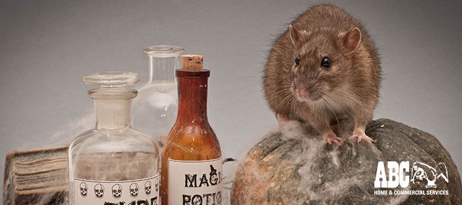 scariest home pests