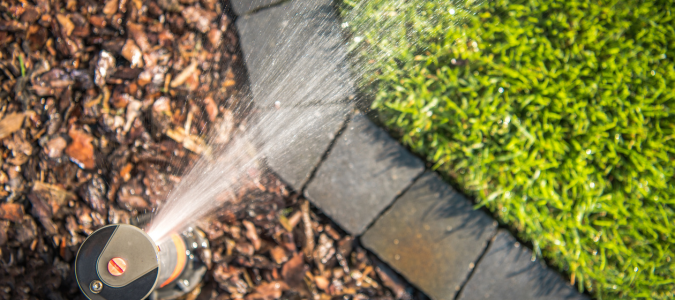 a sprinkler head