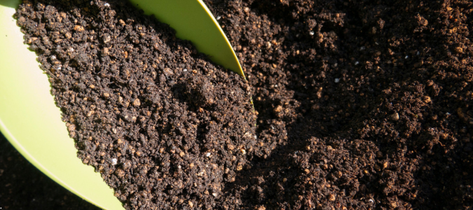 healthy soil