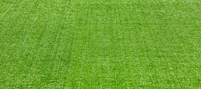 artificial grass