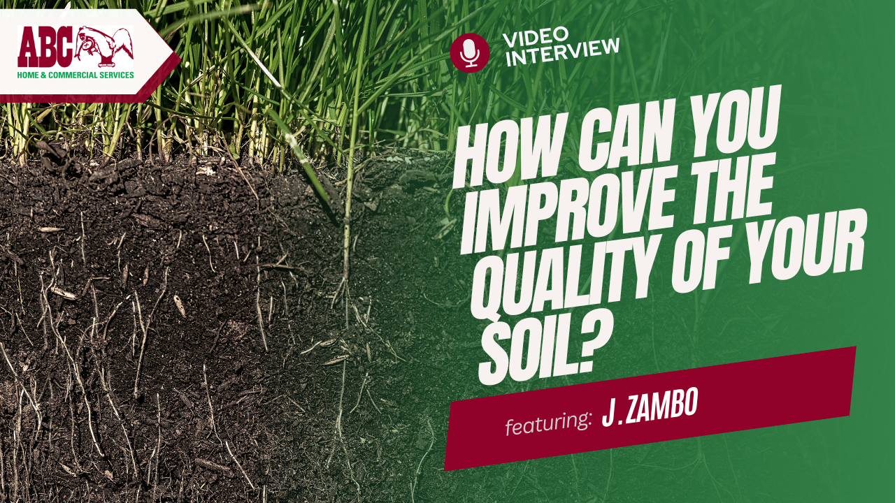 Is Soil Healthy  Enough for Grass?Strategic Lawn Renovation Tips  for Success thumbnail
