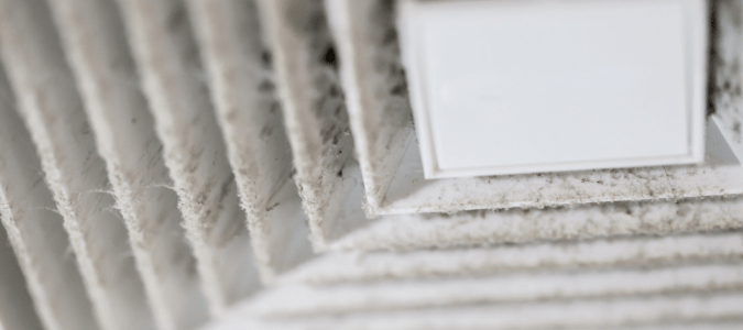 a dirty air filter