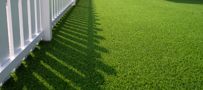 artificial turf
