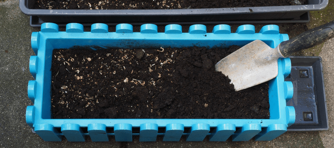 How to grow wildflowers in pots