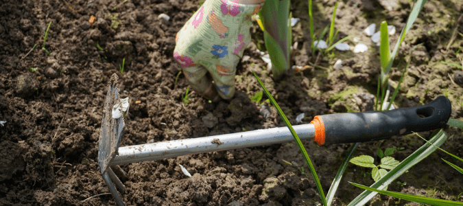 How to remove crabgrass