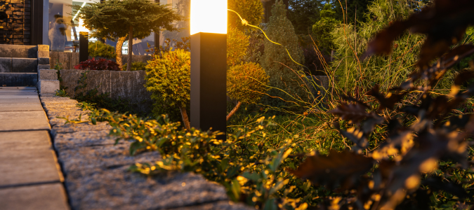 a light in a yard