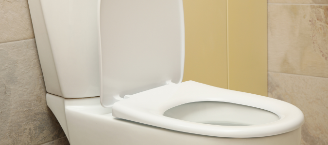 a toilet
