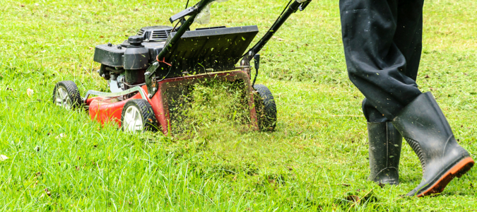 mowing the lawn