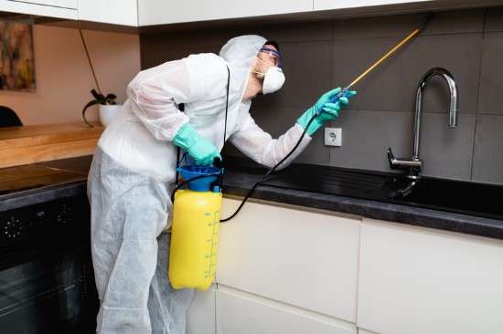 Professional Pest Control