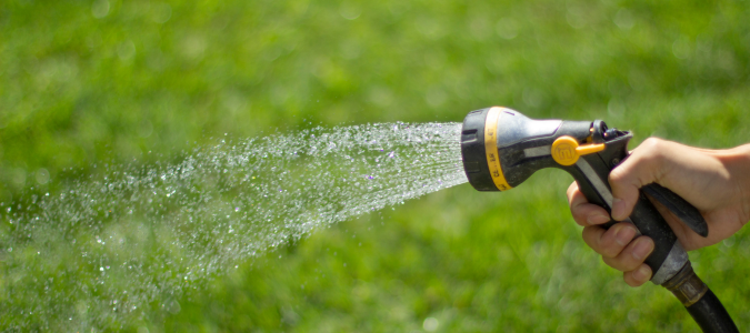 watering a lawn
