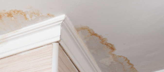 water spots on a ceiling