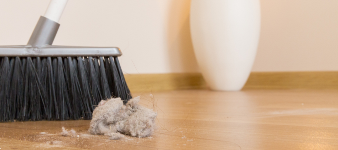 dust in a home
