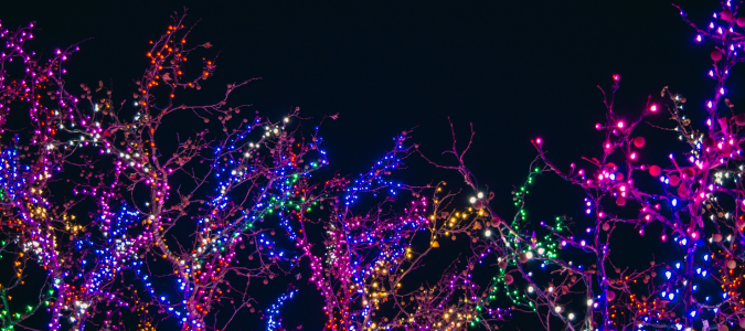 Christmas lights