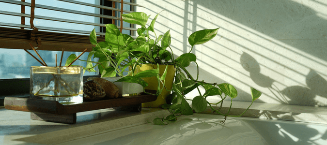 a home with an air conditioner