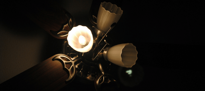 light bulbs