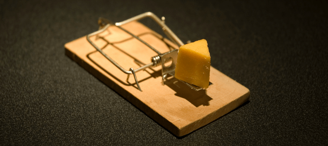 rat trap set with a piece of cheese