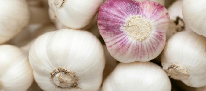 bulbs of garlic