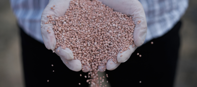 a handful of fertilizer
