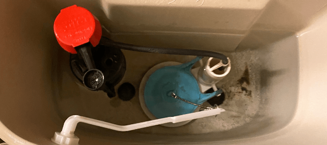 a homeowner checking inside the toilet tank to see how much water should be in the toilet bowl