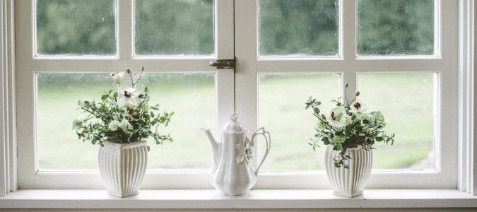 a window looking into a backyard