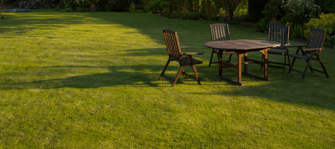 a healthy yard