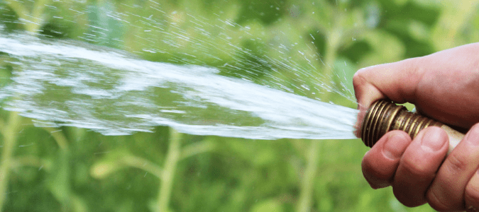 how to treat dog urine spots on grass