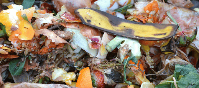 Kitchen scraps that are in a compost pile.
