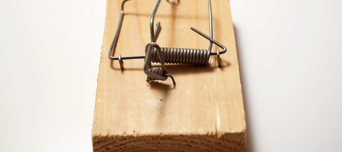 a mouse trap