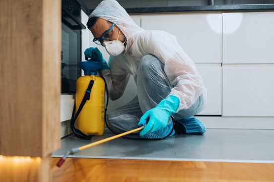 Pest control Services