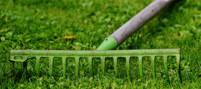 a homeowner's green dethatching rake that was pulled out as the homeowner contemplated the pros and cons of dethatching