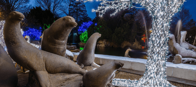 zoo lights at the San Antonio zoo