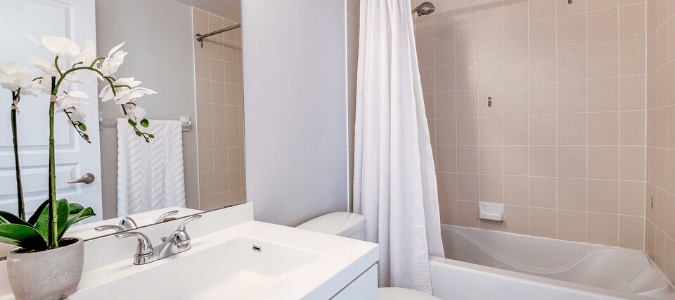 termites in a bathroom