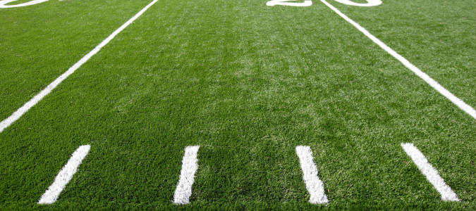 turf grass
